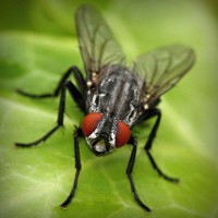 /album/seo-ekspert/photolia-a01-jpg/