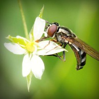 /album/seo-ekspert/photolia-a02-jpg/
