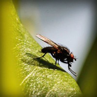 /album/seo-ekspert/photolia-a04-jpg/