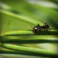/album/seo-ekspert/photolia-a05-jpg/