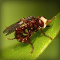 /album/seo-ekspert/photolia-a06-jpg/