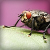 /album/seo-ekspert/photolia-a08-jpg/